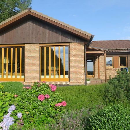 Ferienhaus Sonne, Harz Und Sterne Villa Hohegeiss Ngoại thất bức ảnh