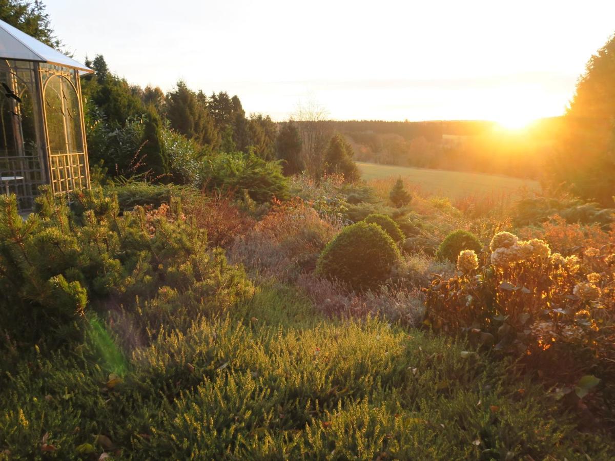 Ferienhaus Sonne, Harz Und Sterne Villa Hohegeiss Ngoại thất bức ảnh