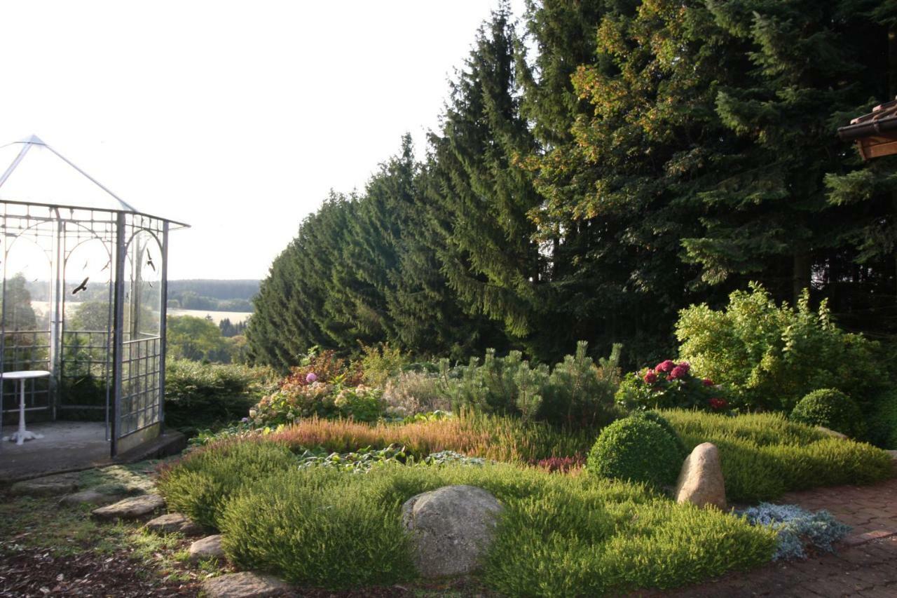 Ferienhaus Sonne, Harz Und Sterne Villa Hohegeiss Ngoại thất bức ảnh