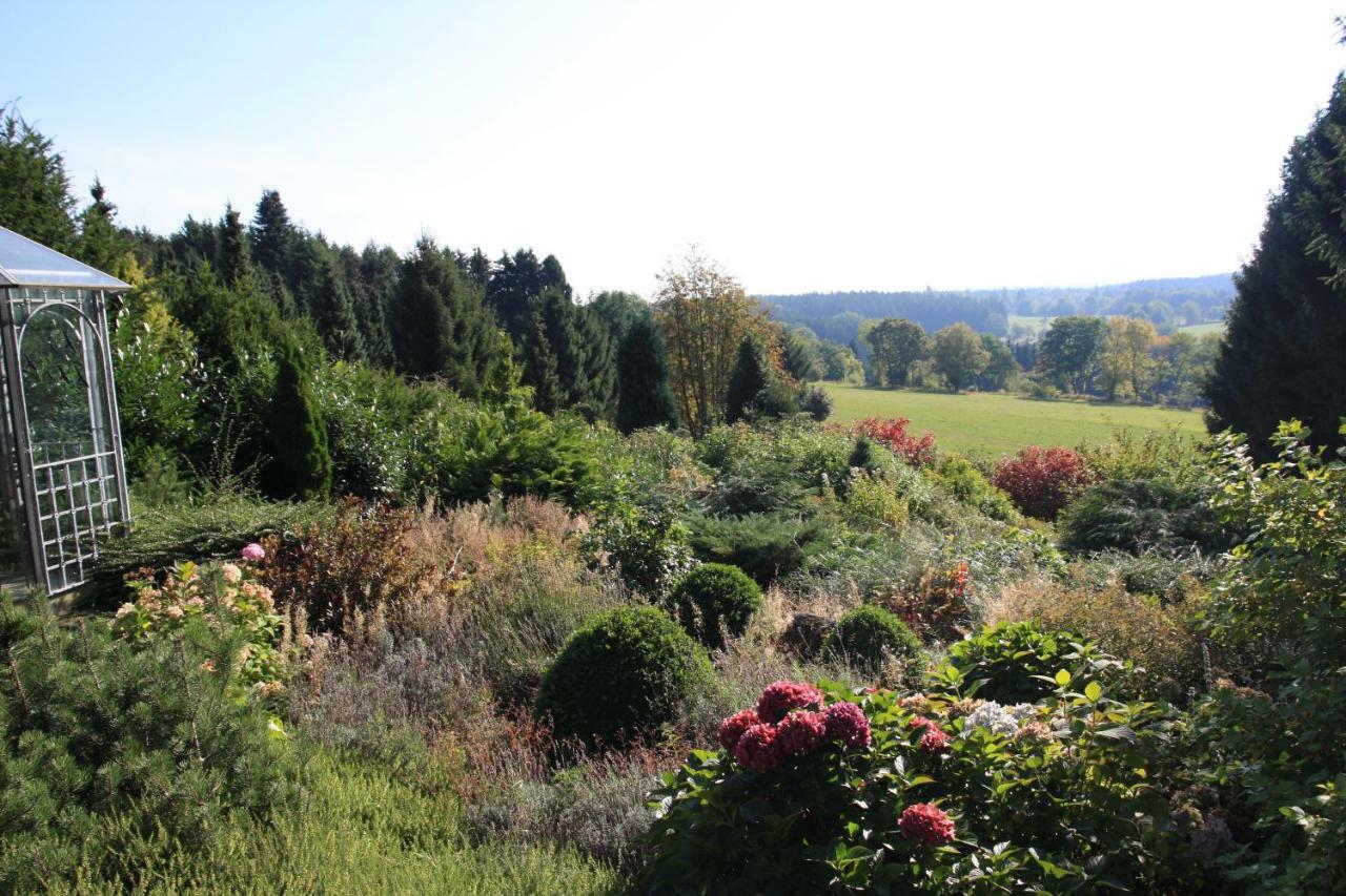 Ferienhaus Sonne, Harz Und Sterne Villa Hohegeiss Ngoại thất bức ảnh