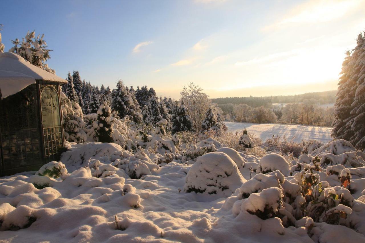 Ferienhaus Sonne, Harz Und Sterne Villa Hohegeiss Ngoại thất bức ảnh